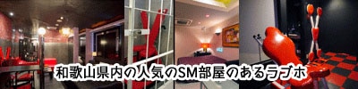 和歌山のSM部屋のあるラブホ画像
